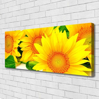 Obraz na plátně Slunečnice Květ Příroda
