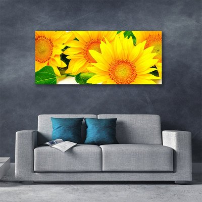 Obraz na plátně Slunečnice Květ Příroda