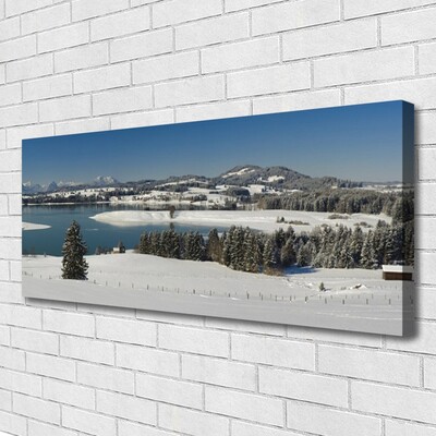 Obraz na plátně Jezero Sníh Krajina Hory