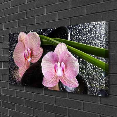 Obraz na plátně Květiny Orchidej Kameny Zen