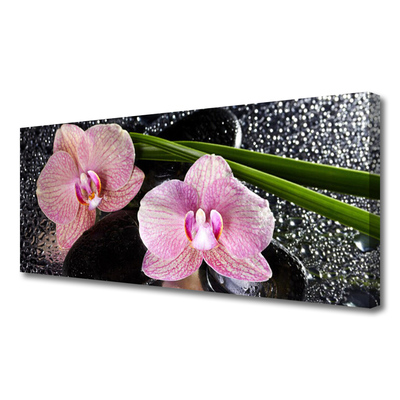 Obraz na plátně Květiny Orchidej Kameny Zen
