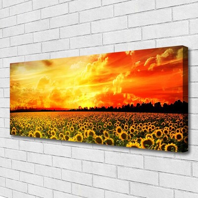 Obraz na plátně Louka Slunečnice Květiny