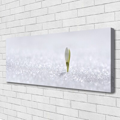 Obraz na plátně Sněženka Sníh Zima
