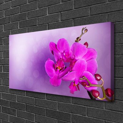 Obraz na plátně Květiny Plátky Orchidej