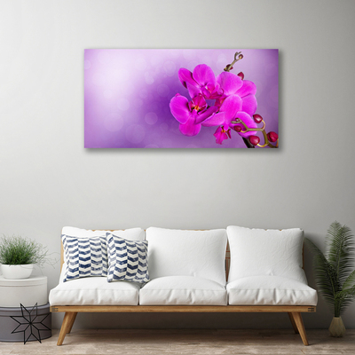 Obraz na plátně Květiny Plátky Orchidej