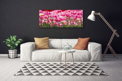 Obraz na plátně Tulipány Květiny Příroda