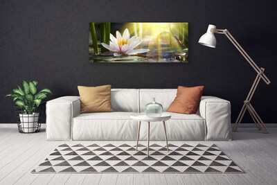 Obraz na plátně Vodní Lilie Slunce Rybník