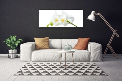 Obraz na plátně Plátky Květ Bíla Orchidej