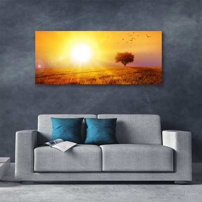 Obraz na plátně Západ Slunce Louka Plátky