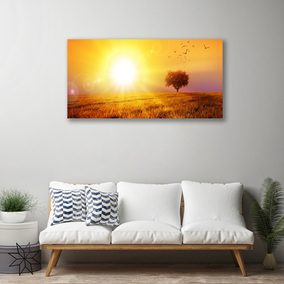 Obraz na plátně Západ Slunce Louka Plátky