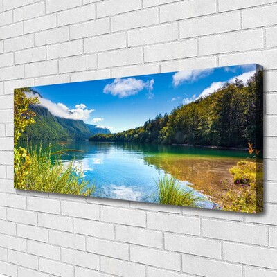 Obraz na plátně Hory Les Příroda Jezero