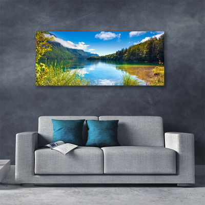 Obraz na plátně Hory Les Příroda Jezero