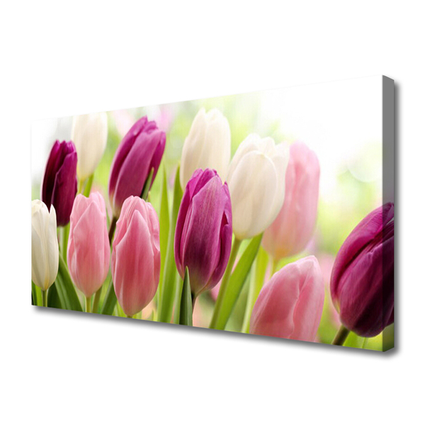 Obraz na plátně Tulipány Květiny Příroda Louka
