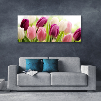 Obraz na plátně Tulipány Květiny Příroda Louka