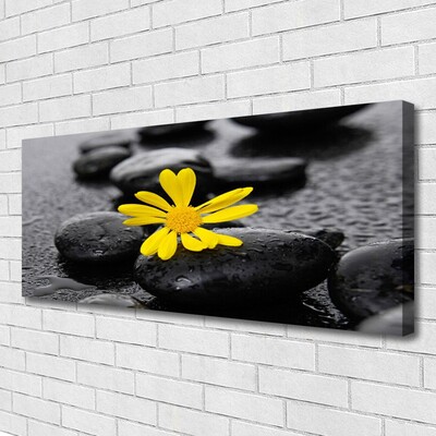 Obraz na plátně Květ Kameny Rostlina Lázně