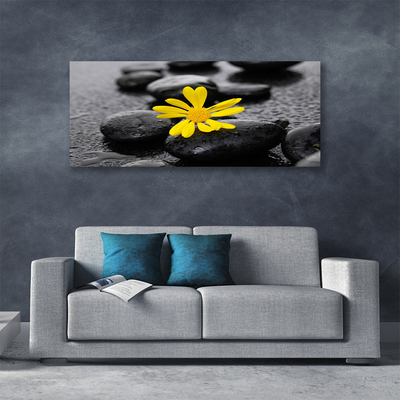 Obraz na plátně Květ Kameny Rostlina Lázně
