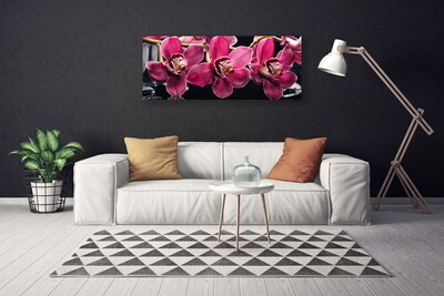 Obraz na plátně Květiny Orchideje Výhonky Příroda