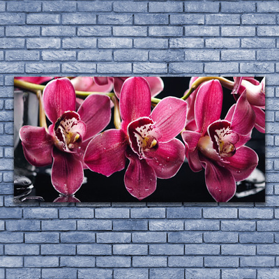 Obraz na plátně Květiny Orchideje Výhonky Příroda