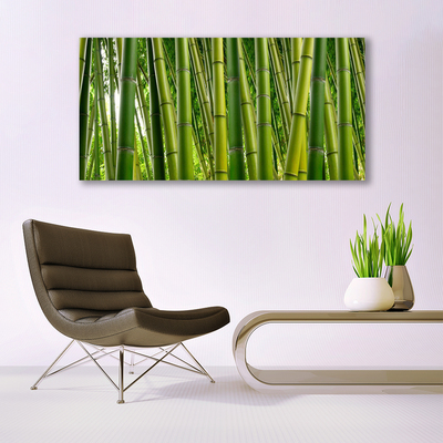 Obraz na plátně Bambusový Les Bambusové Výhonky