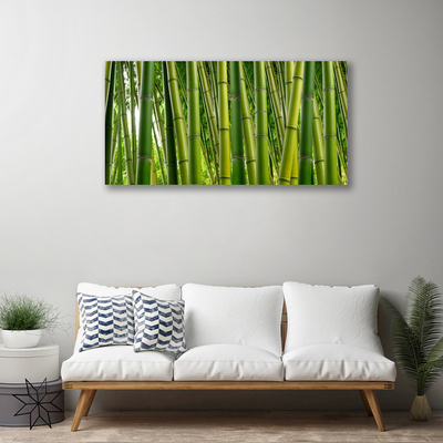 Obraz na plátně Bambusový Les Bambusové Výhonky