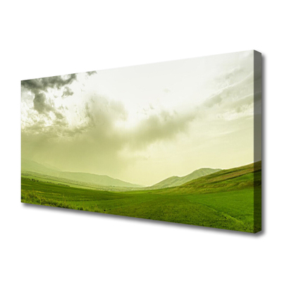 Obraz na plátně Louka Příroda Zelený Výhled