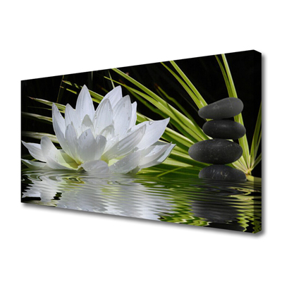 Obraz na plátně Květiny Kameny Zen Voda