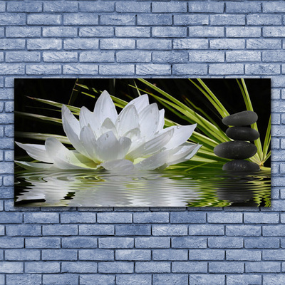 Obraz na plátně Květiny Kameny Zen Voda
