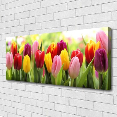 Obraz na plátně Tulipány Květiny Příroda