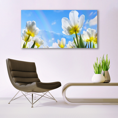 Obraz na plátně Rostliny Květiny Tulipány