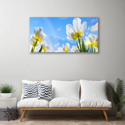 Obraz na plátně Rostliny Květiny Tulipány