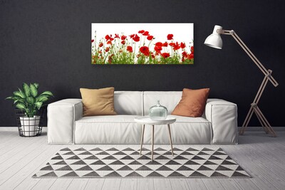 Obraz na plátně Máky Květiny Příroda