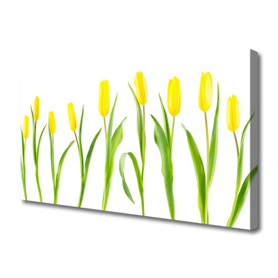 Obraz na plátně Žluté Tulipány Květiny