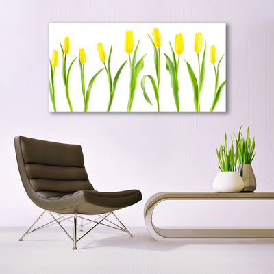 Obraz na plátně Žluté Tulipány Květiny
