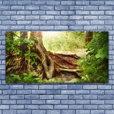 Obraz na plátně Strom Kmen Příroda Les