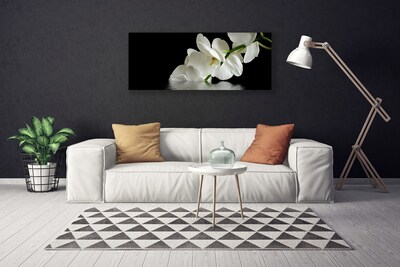 Obraz na plátně Orchidej ve Vodě Květiny