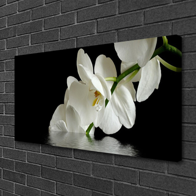 Obraz na plátně Orchidej ve Vodě Květiny