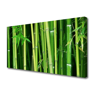 Obraz na plátně Bambusový Les Bambus Příroda