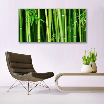 Obraz na plátně Bambusový Les Bambus Příroda