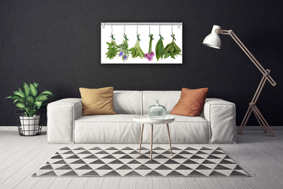 Obraz na plátně Sušené Byliny Listy Květiny