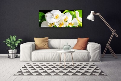 Obraz na plátně Orchidej Květiny Příroda