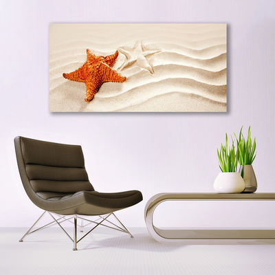 Obraz na plátně Hvězdice na Písku Pláž