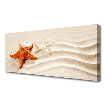 Obraz na plátně Hvězdice na Písku Pláž