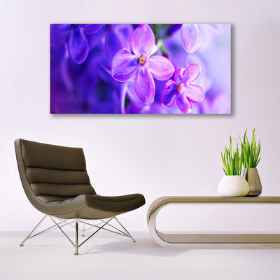 Obraz na plátně Fialové Květiny Příroda