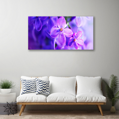 Obraz na plátně Fialové Květiny Příroda