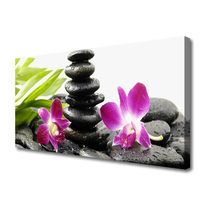 Obraz na plátně Kameny Zen Lázně Orchidej