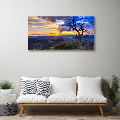Obraz na plátně Strom Zápas Slunce