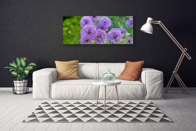 Obraz na plátně Fialové Květiny Louka