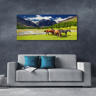 Obraz na plátně Hory Stromy Koně Zvířata