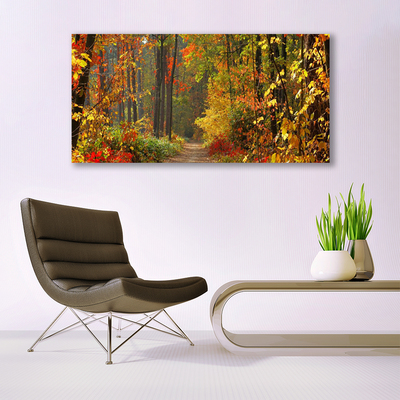 Obraz na plátně Les Příroda Podzim