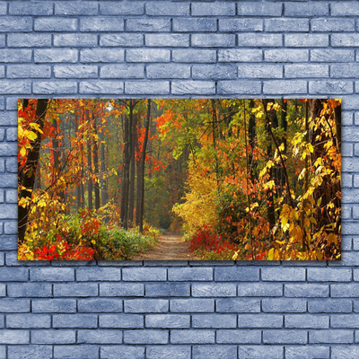 Obraz na plátně Les Příroda Podzim